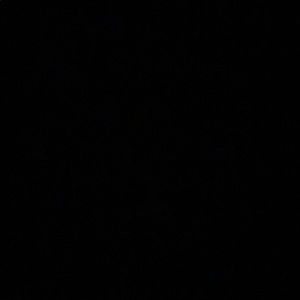 Meet your Posher, Danni